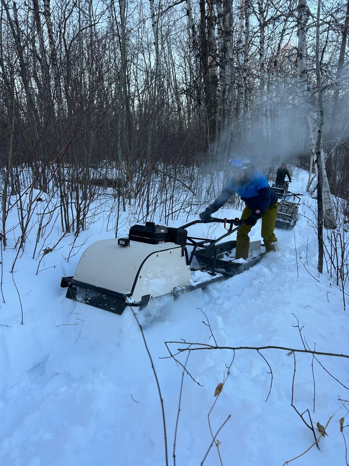 Grooming crew doing their job!